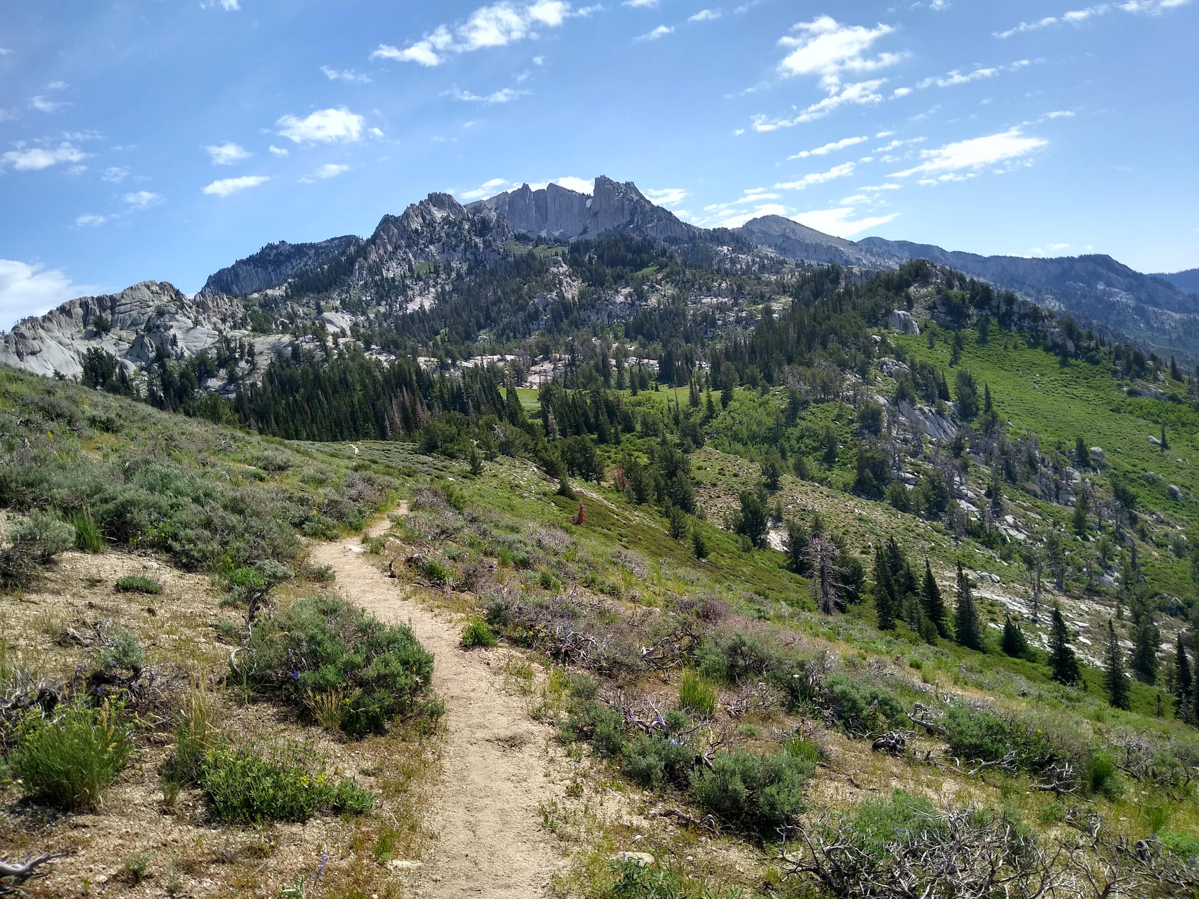 Jacob's Ladder Trail