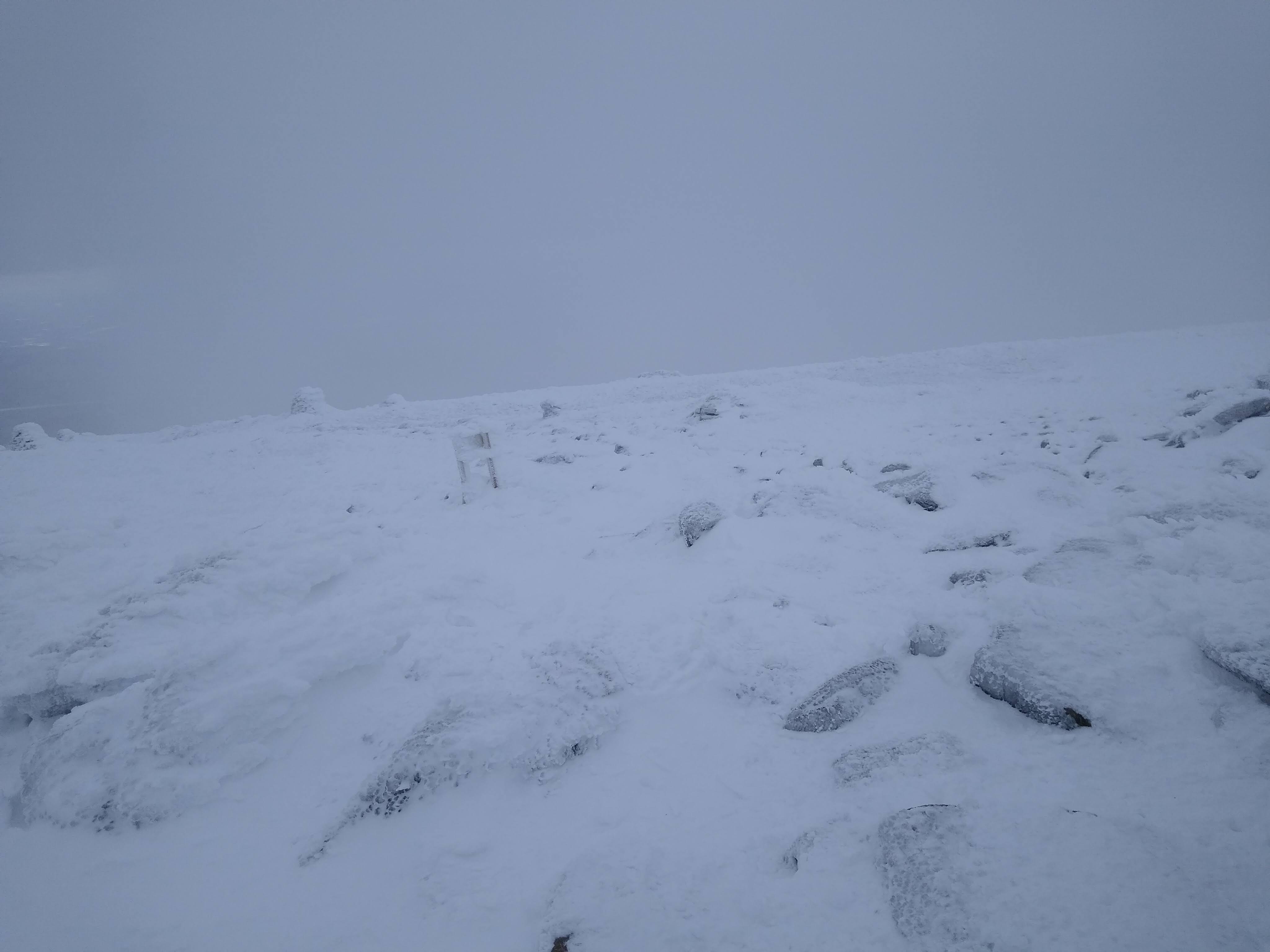 Moosilauke Summit