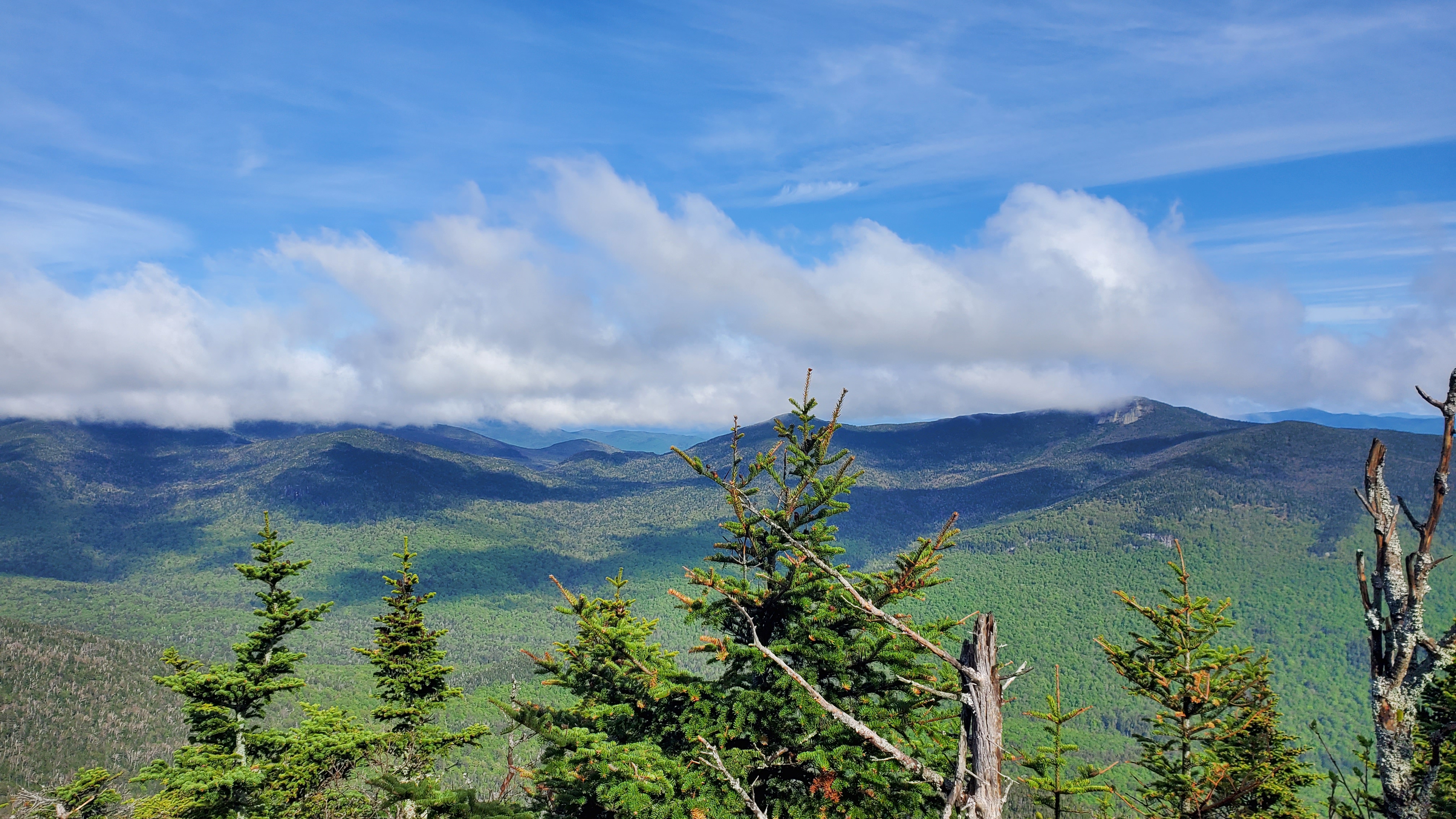 High Peaks Views